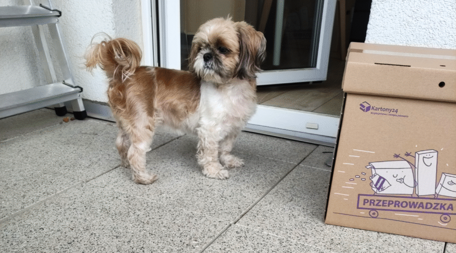 jak zaoszczędzić na przeprowadzce