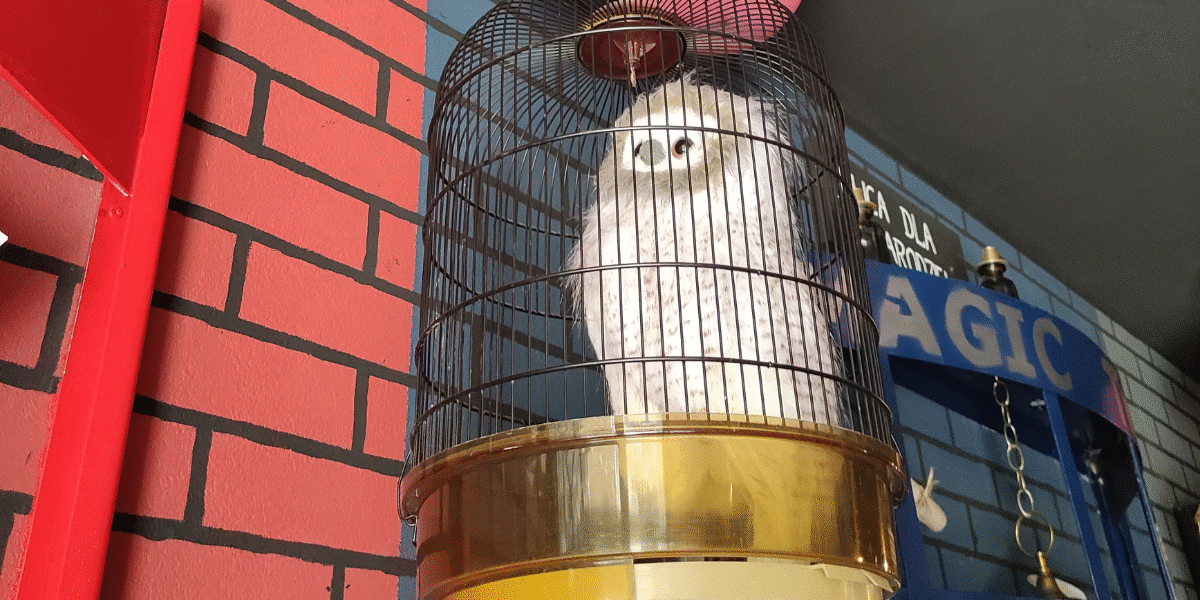 pub pod dwoma miotłami