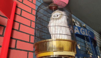 pub pod dwoma miotłami