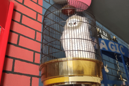 pub pod dwoma miotłami